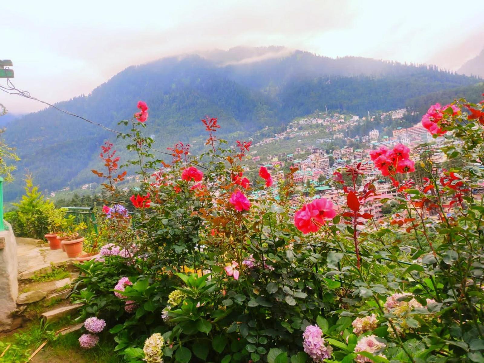 Cupidtrails Himalayan Castle Villa Manāli Oda fotoğraf